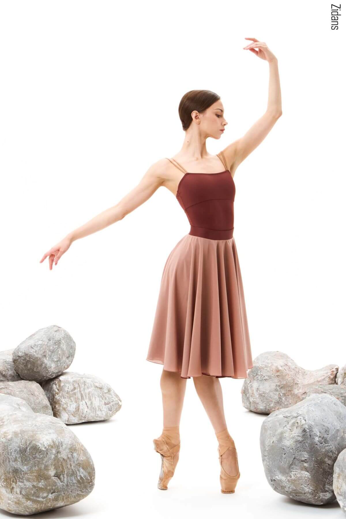 Zidans Lines Leotard Ground - Professional Dance Performance View Танцьорка в движение, облечена в еластично балетно трико Zidans Lines Leotard Ground.